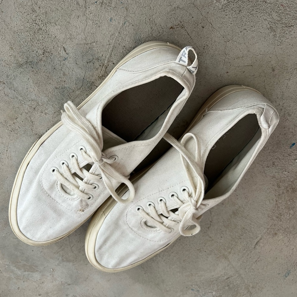 Everlane white sneakers